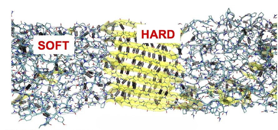 Molecular structure of spider silk. (Credits: S. Keten)