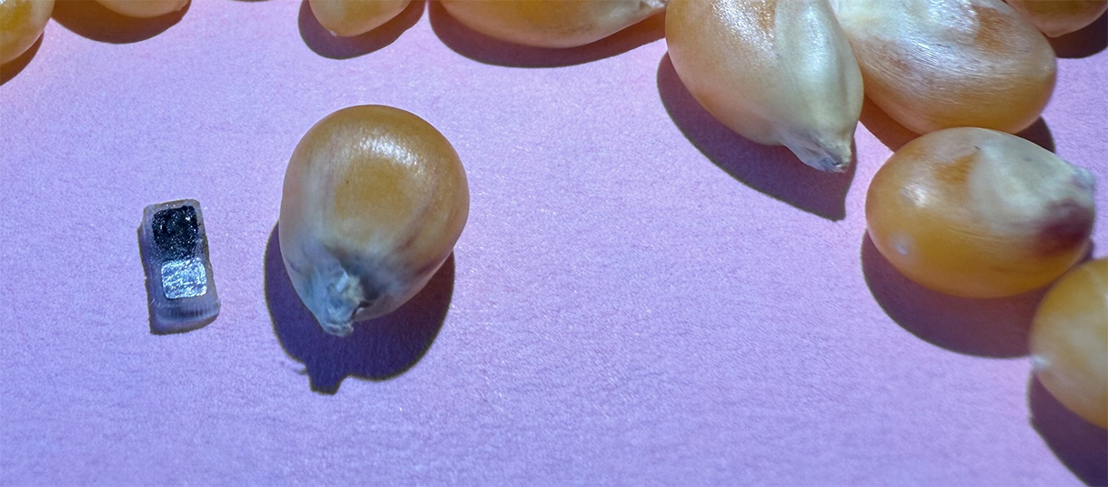 New device with kernels