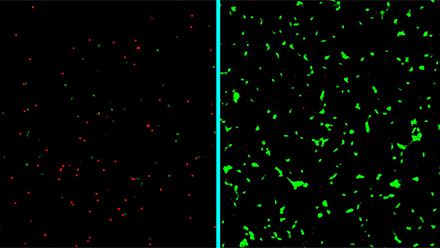 Nanotherapy